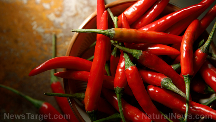Capsaicin and lung cancer: Can a natural compound from chili peppers prevent metastasis?