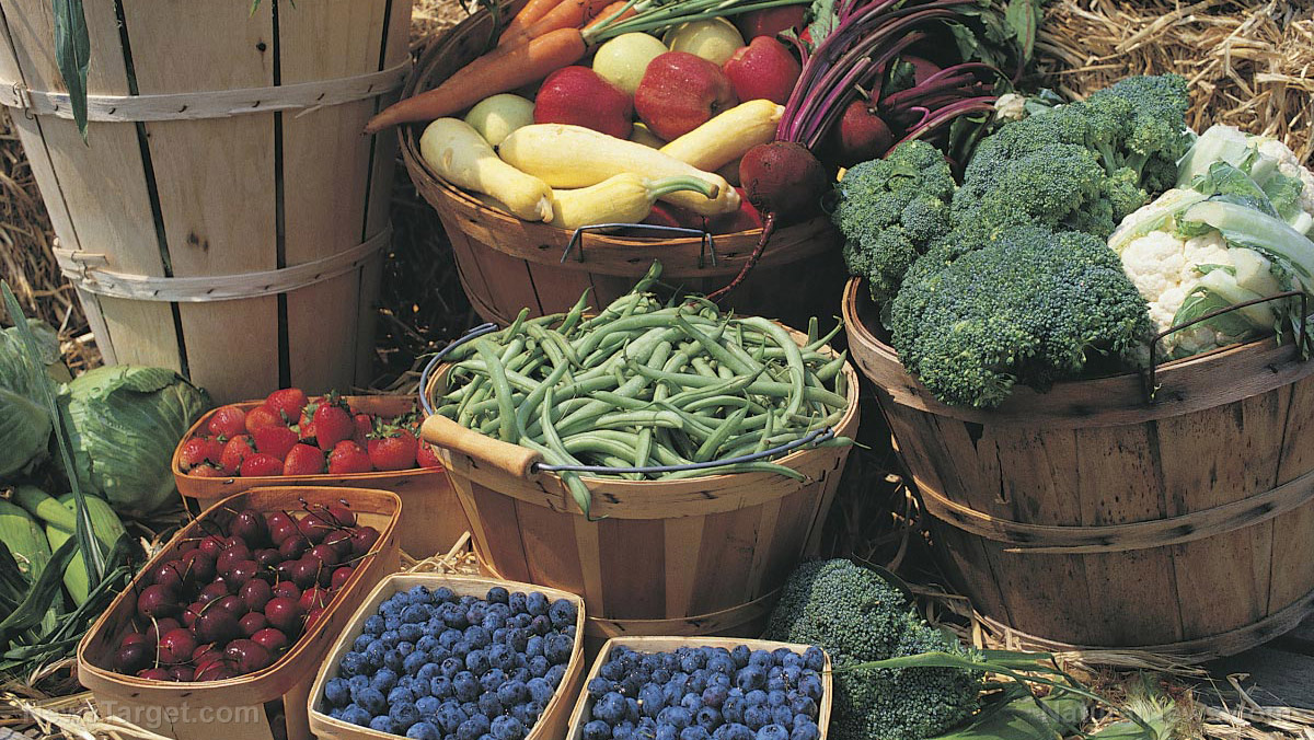 Fresh, organic food at your fingertips: 7 Tips for shopping at a farmers market