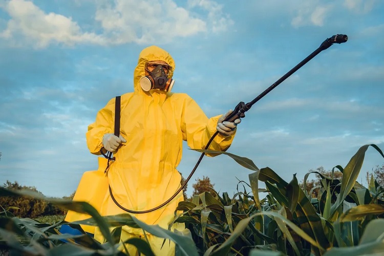 5 Biggest Pesticide Companies Are Making Billions From “Highly Hazardous” Chemicals, Investigation Finds