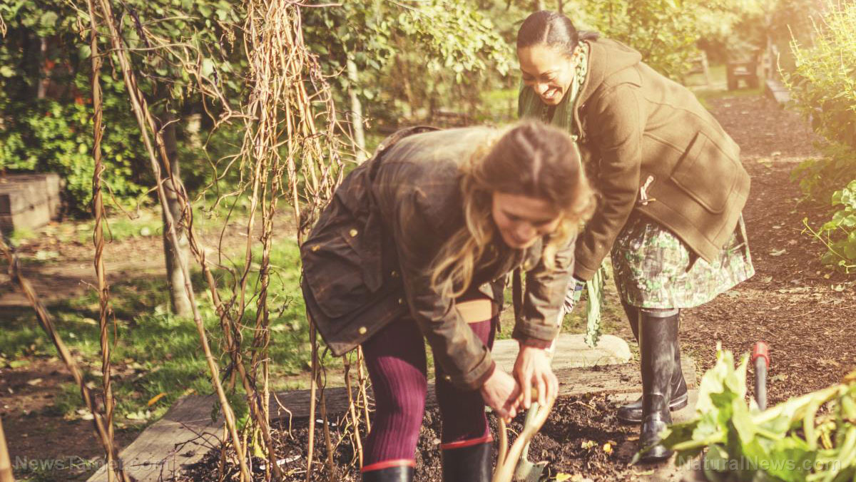Study suggests gardening helps promote mental health, positive body image