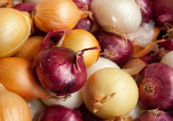 Benefits of Onions: Remedies and Recipes