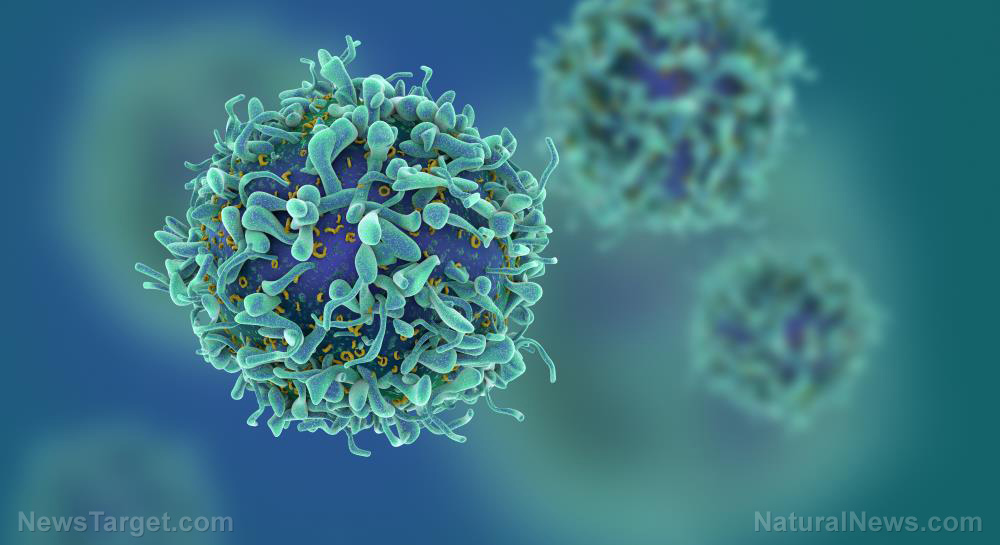 Researchers develop “controlled” viruses capable of destroying tumors