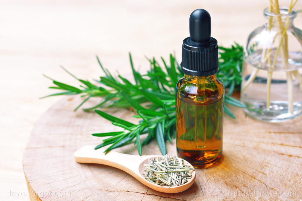 Rosemary essential oil can enhance working memory in children