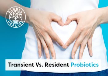 Transient vs. Resident Probiotics: What’s the Difference?