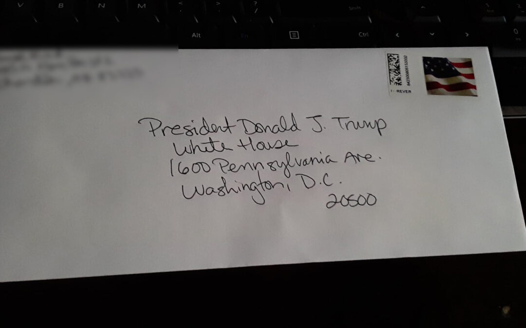 Recount Demand – WRITE SNAIL MAIL TO THE WHITE HOUSE! Your country needs you.