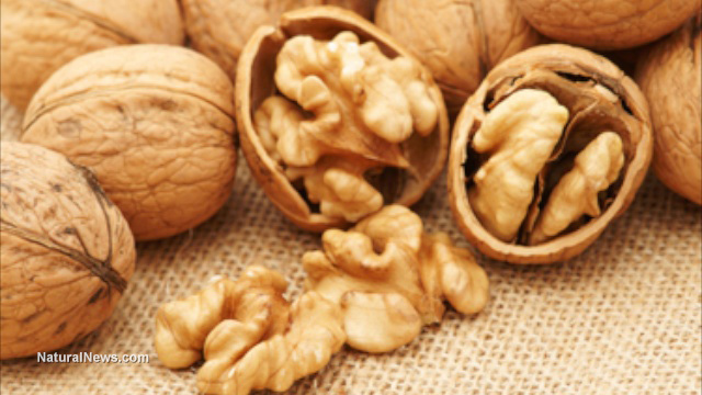 Study reveals: Men should eat walnuts to prevent prostate cancer