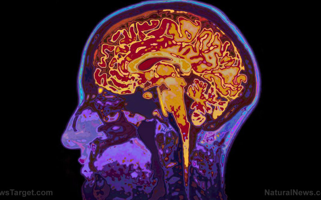 Spike proteins administered intravenously are engineered to cross the blood-brain barrier, can cause cerebral hemorrhage