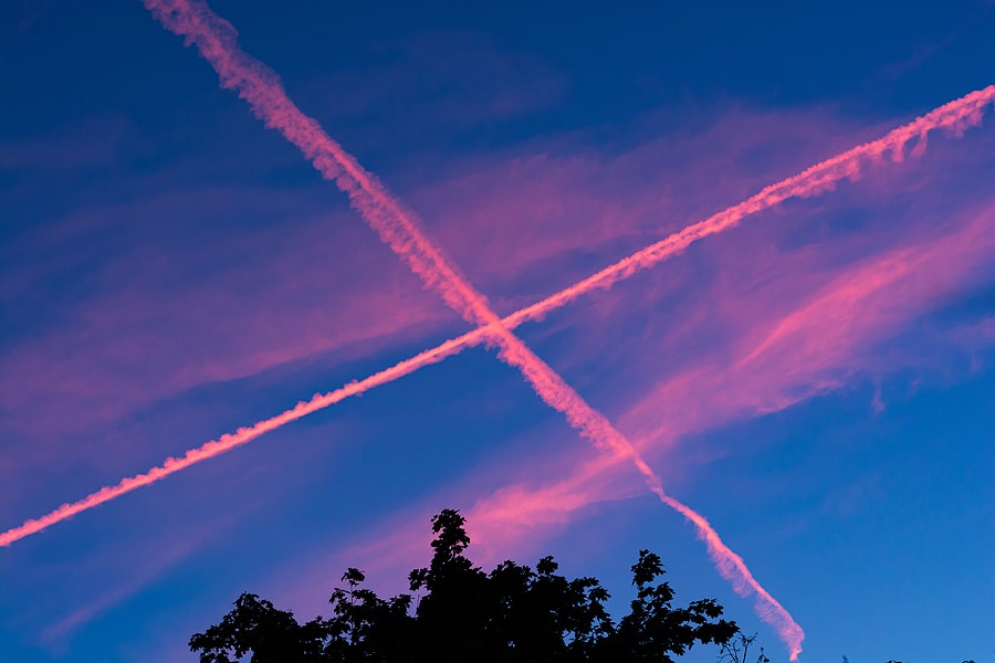 Chemtrail and Environmental Toxin Detox Ideas