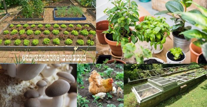 22 Ways To Boost Food Production In 2022