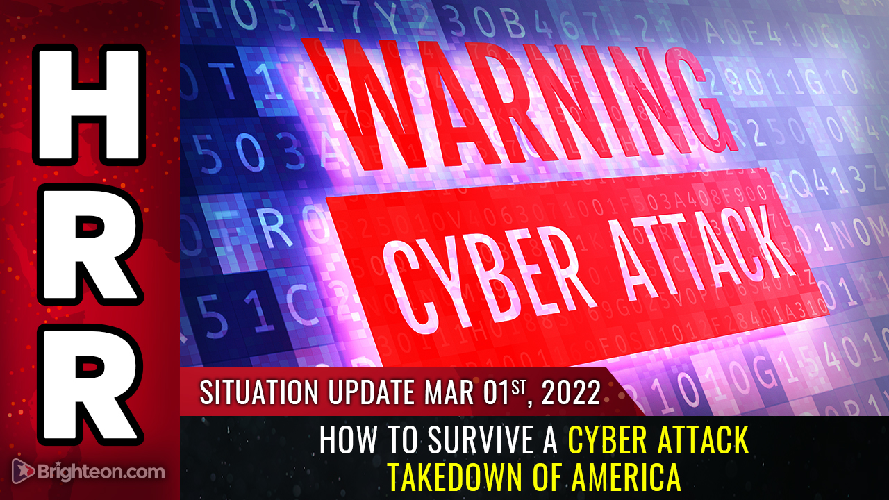 How to survive a cyber attack TAKEDOWN of America