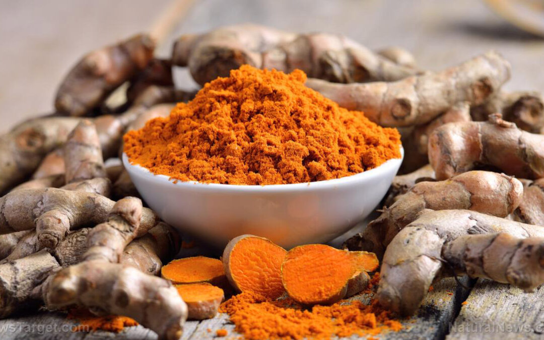 Woman who battled blood cancer for 5 years RECOVERS with the help of turmeric