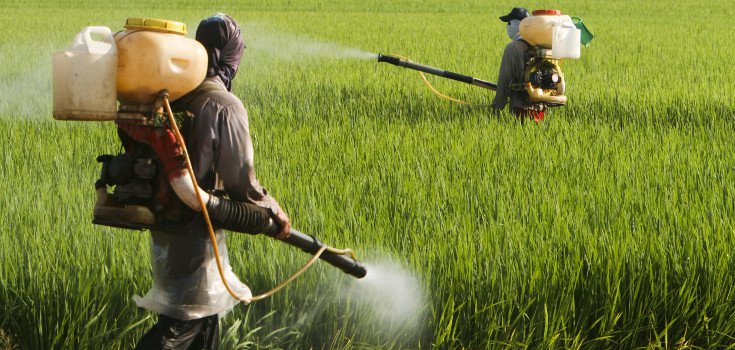 CDC: 80% of urine samples found to contain cancer-causing glyphosate weed killer