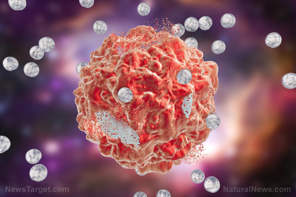 Studies attest to quercetin’s ability to kill cancer cells