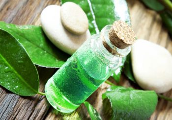 Tea Tree Oil for Warts and Cold Sores