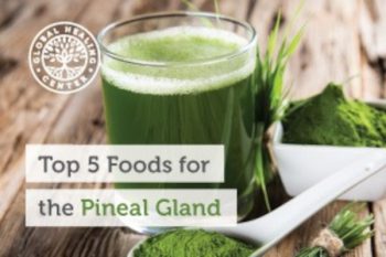 Top 5 Foods for the Pineal Gland