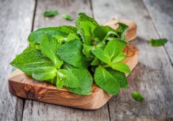 The Power of Peppermint: 15 Health Benefits Revealed
