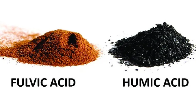 Fulvic Acid Mineral Supplements