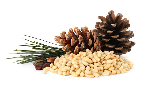 Plant-based power: The science-backed health benefits of pine nuts