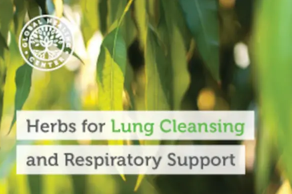 The 9 Best Herbs for Lung Cleansing and Respiratory Support