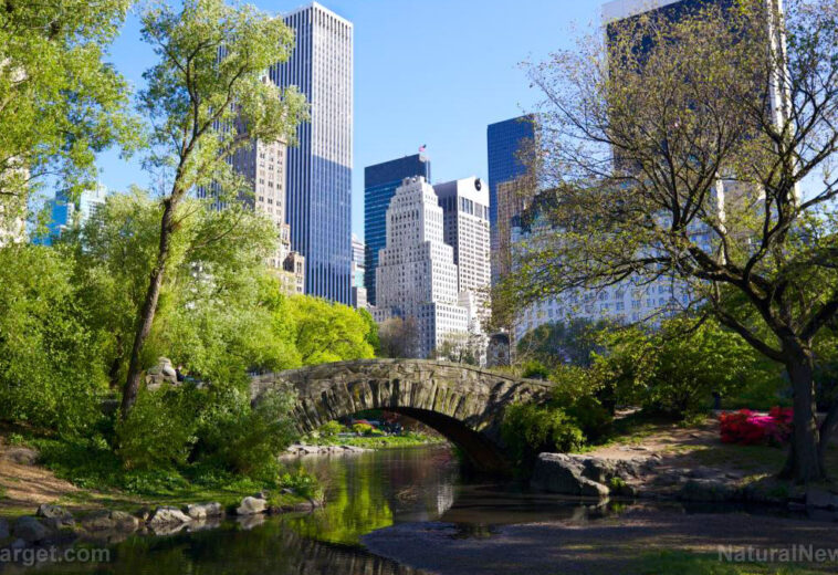 NYC migrant crisis: Central Park being considered as HOUSING for migrants