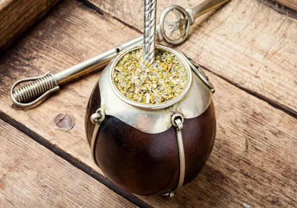 Backed by Science – 7 Amazing Health Benefits of Yerba Mate