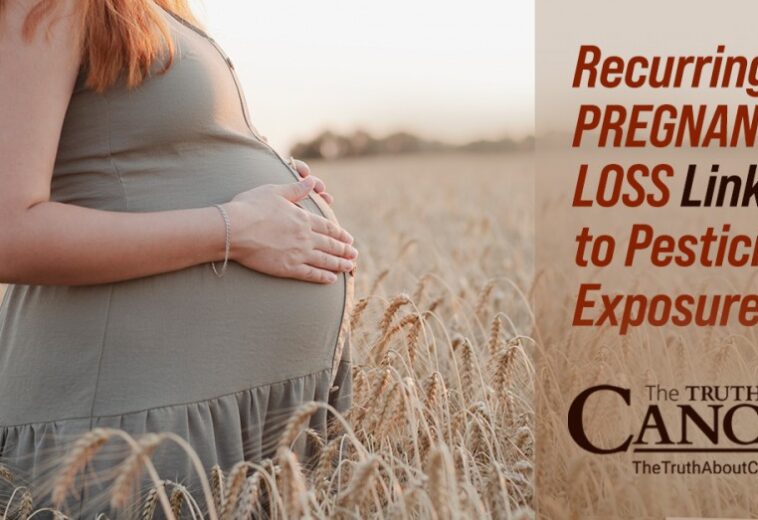 Recurring Pregnancy Loss Linked to Pesticide Exposure