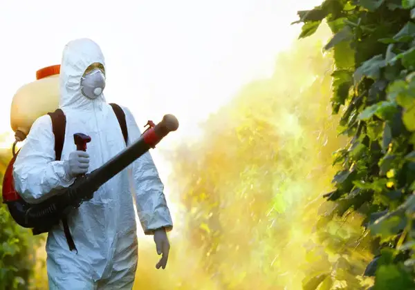The Dirty Truth: Top 5 Agricultural Toxins Impacting American Health and How to Combat Them