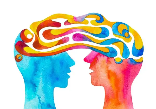 The Neuroscience of Empathy: How Understanding Others Rewires Our Brains