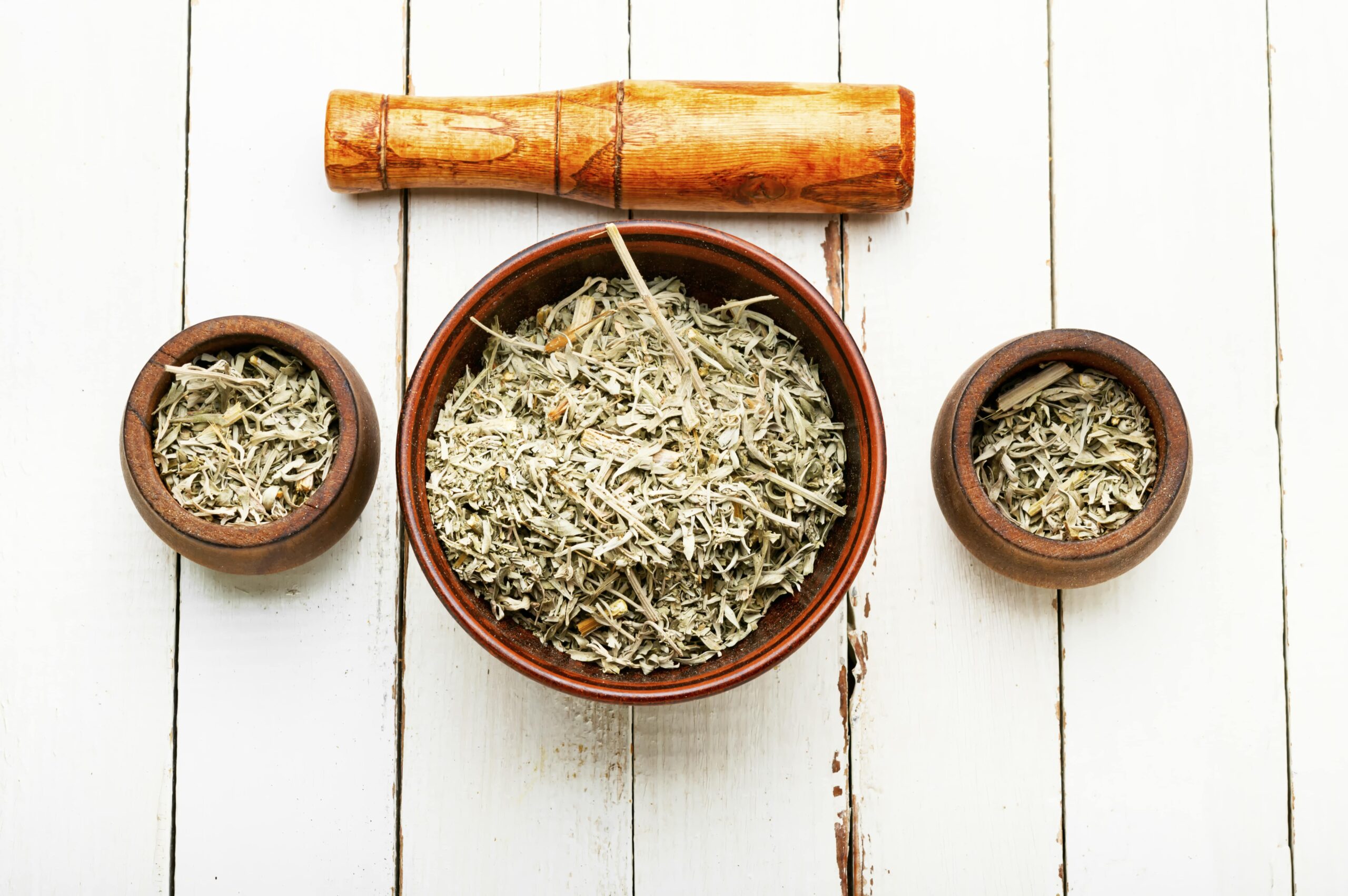 Artemisinin from sweet wormwood treats not just malaria but also CANCER - Vimarsana News