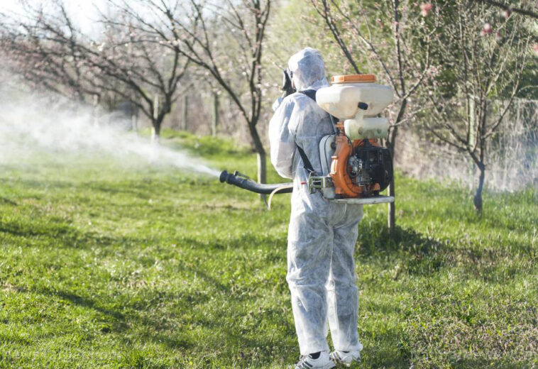 New study: Exposure to PESTICIDES linked to METABOLIC DISORDERS like diabetes and obesity