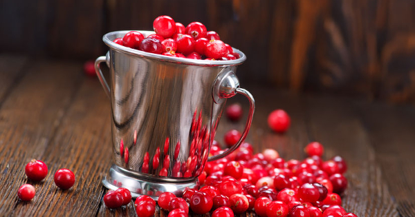 Beyond Urinary Tract Infections: Five Health Benefits of Cranberries
