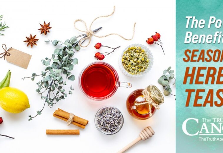The Potent Benefits of Seasonal Herbal Teas