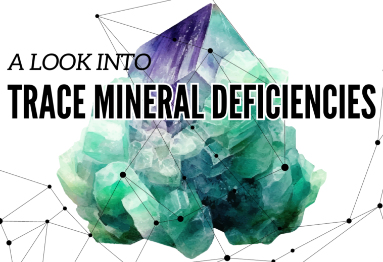 The Benefits of Trace Minerals: A Comprehensive Guide on What They Do for Your Body and What a Deficiency Can Cause