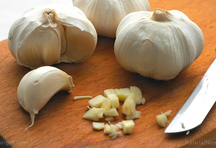 5 Science-backed health benefits of garlic